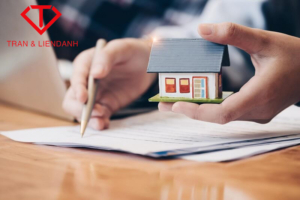 tư vấn làm lý lịch tư pháp