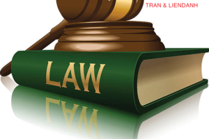 công ty luật uy tín tại quận Hoàng Mai