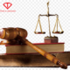 Điều 403 Bộ luật hình sự quy định tội trốn tránh nghĩa vụ