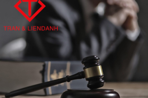 mẫu lý lịch tư pháp