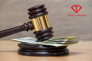 thành lập doanh nghiệp có vốn nước ngoài tại huyện Thường Tín