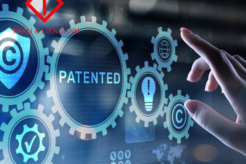 khác nhau giữa chi nhánh và địa điểm kinh doanh