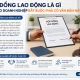 Hợp Đồng Lao Động Là Gì Và Vì Sao Doanh Nghiệp Bắt Buộc Phải Có Văn Bản Này?