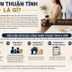 Ly Hôn Thuận Tình Là Gì? Điều Kiện Để Được Công Nhận Thuận Tình Ly Hôn