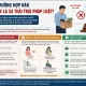 Những Trường Hợp Nào Được Xem Là Sa Thải Trái Pháp Luật?